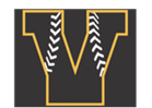 Little League and Youth Baseball Skills Camp